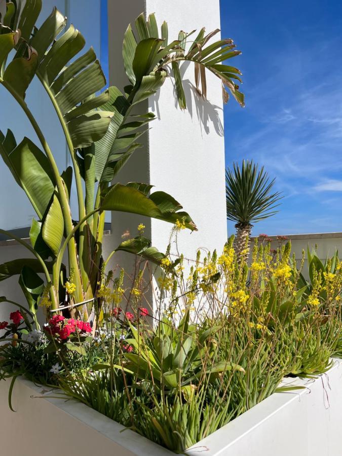 Sky Garden Locazione Turistica Appartement Polignano a Mare Buitenkant foto